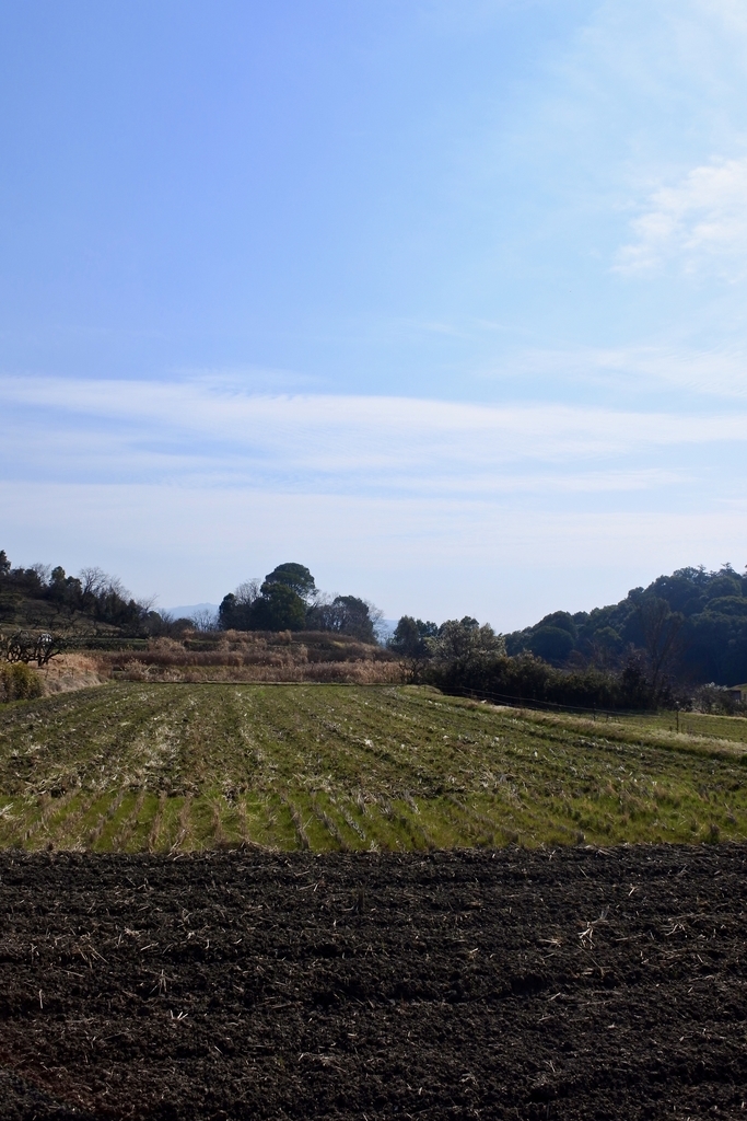 f:id:nalacarte:20190303133821j:plain f:id:nalacarte:20190303133821j:plain