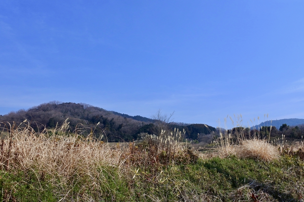 f:id:nalacarte:20190303133923j:plain f:id:nalacarte:20190303133923j:plain