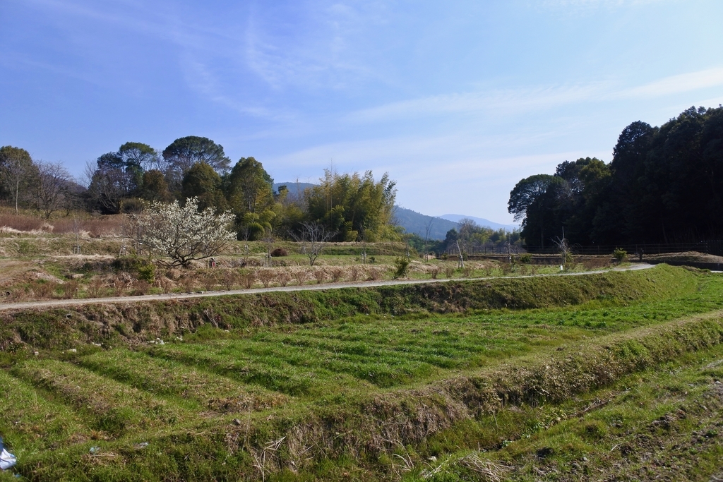 f:id:nalacarte:20190303134029j:plain f:id:nalacarte:20190303134029j:plain