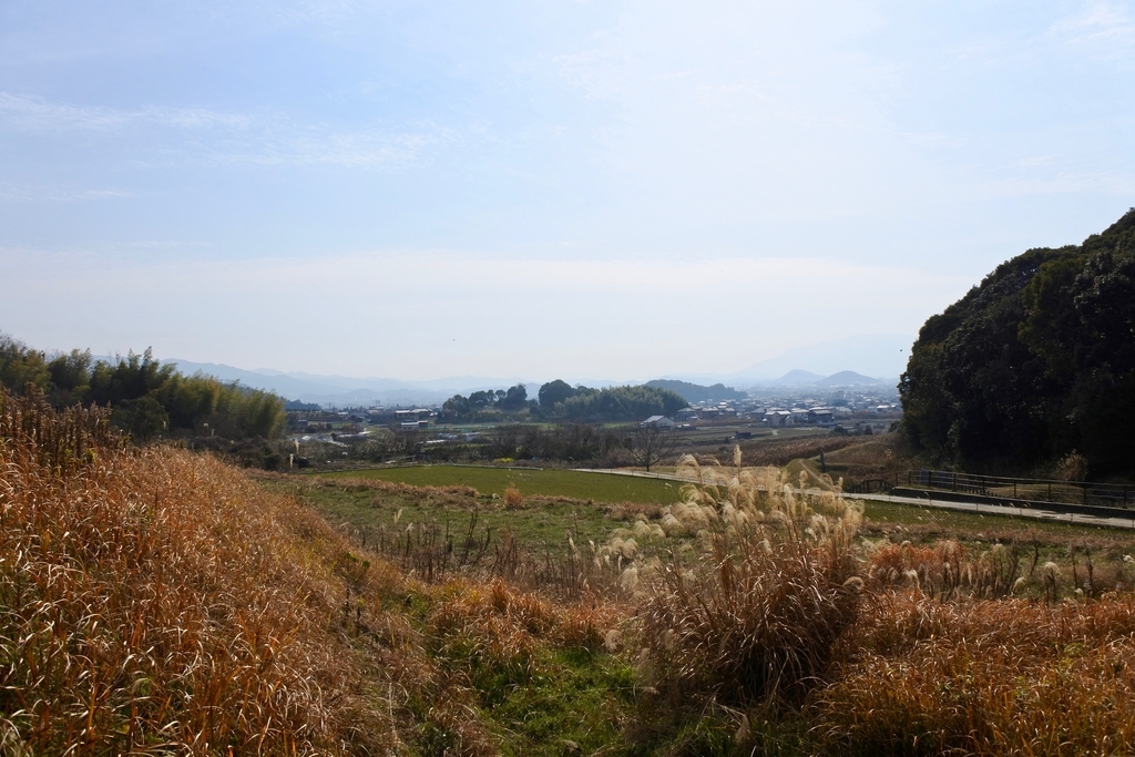 f:id:nalacarte:20190303134203j:plain f:id:nalacarte:20190303134203j:plain