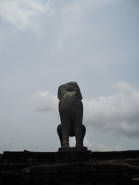 f:id:nama-zoo:20120413062535j:image