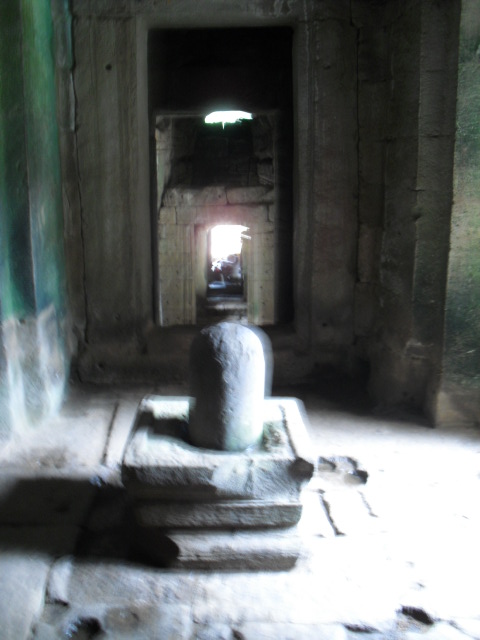 f:id:nama-zoo:20120413072657j:image