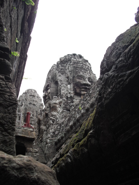 f:id:nama-zoo:20120413072749j:image