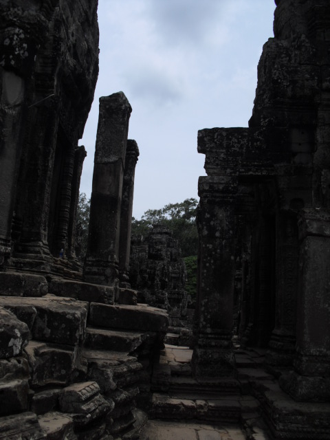 f:id:nama-zoo:20120413073300j:image