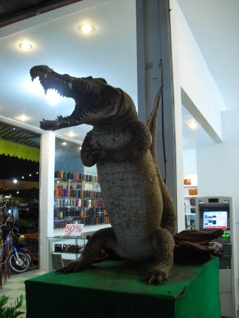 f:id:nama-zoo:20120413145003j:image