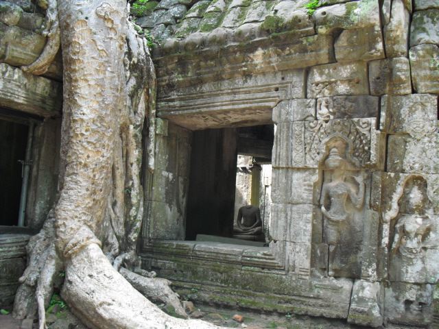f:id:nama-zoo:20120414042532j:image