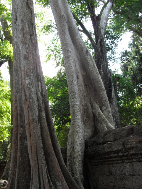 f:id:nama-zoo:20120414042733j:image