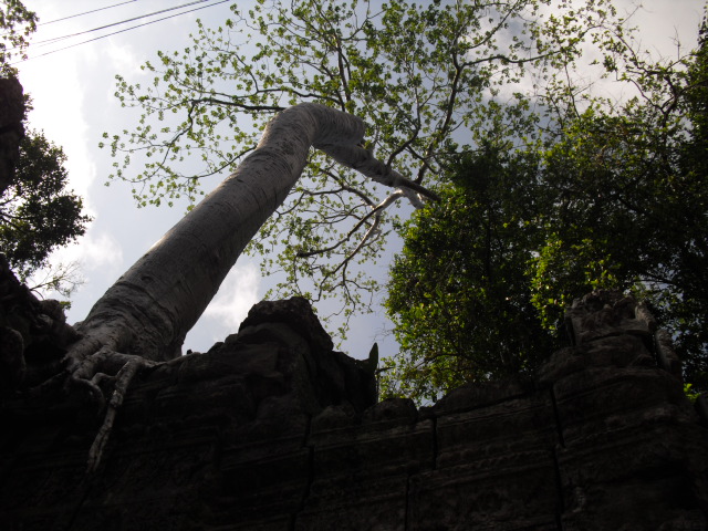 f:id:nama-zoo:20120414043023j:image