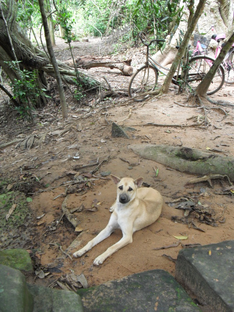 f:id:nama-zoo:20120414043411j:image