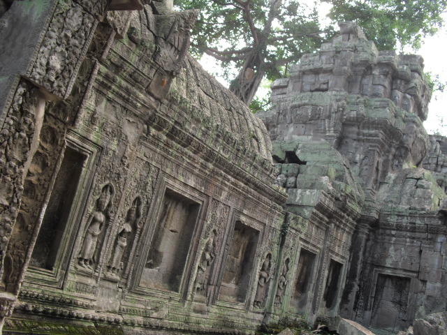 f:id:nama-zoo:20120414043929j:image