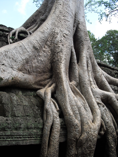 f:id:nama-zoo:20120414043948j:image