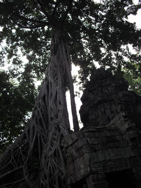 f:id:nama-zoo:20120414044049j:image