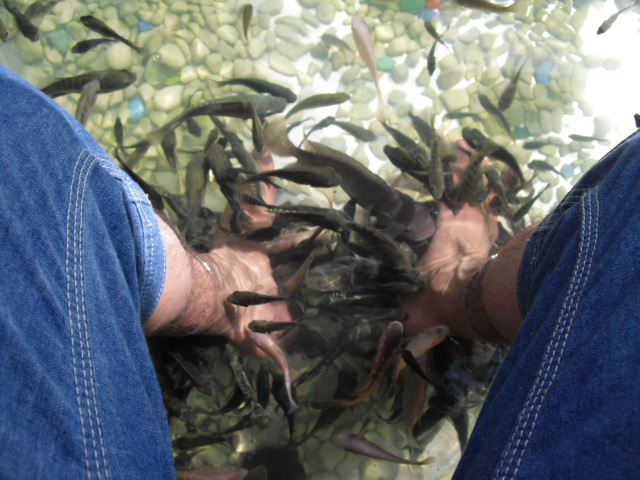 f:id:nama-zoo:20120414095802j:image