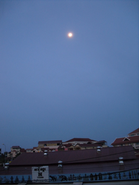 f:id:nama-zoo:20120416002744j:image