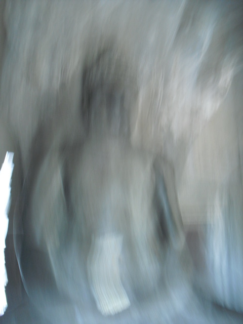 f:id:nama-zoo:20120416044247j:image