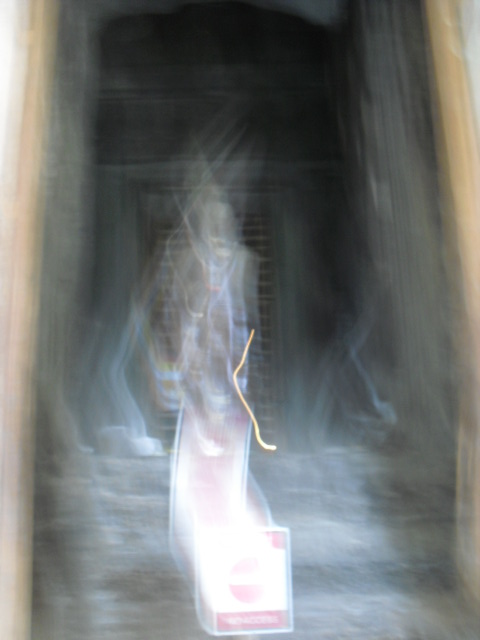 f:id:nama-zoo:20120416044359j:image