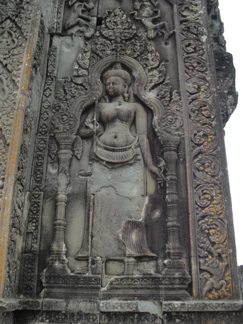 f:id:nama-zoo:20120416052255j:image