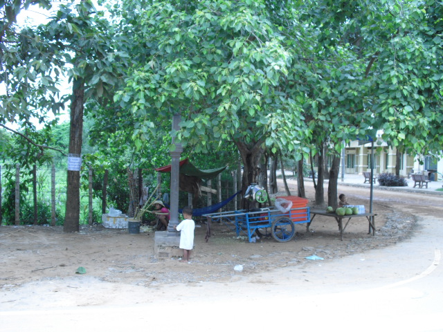 f:id:nama-zoo:20120416055147j:image