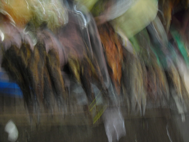 f:id:nama-zoo:20120417051637j:image