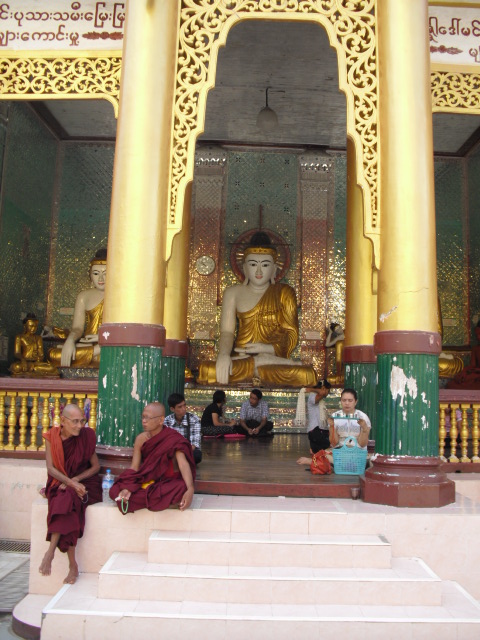 f:id:nama-zoo:20130603121519j:image