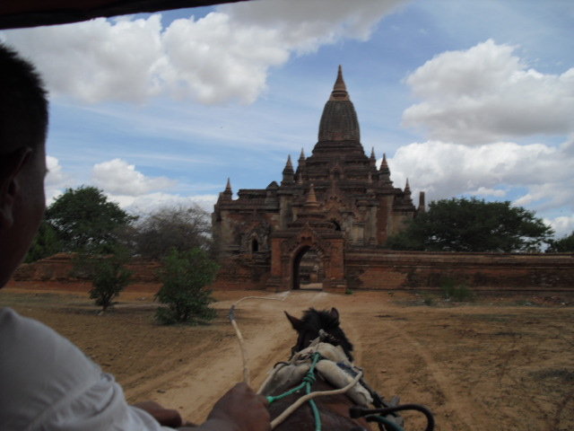 f:id:nama-zoo:20130604155656j:image
