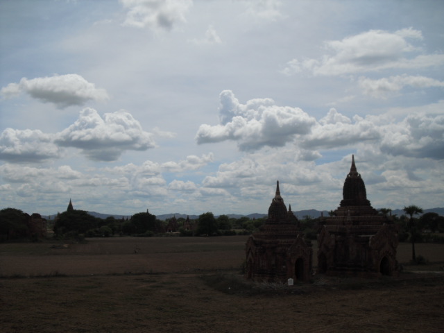 f:id:nama-zoo:20130604161533j:image