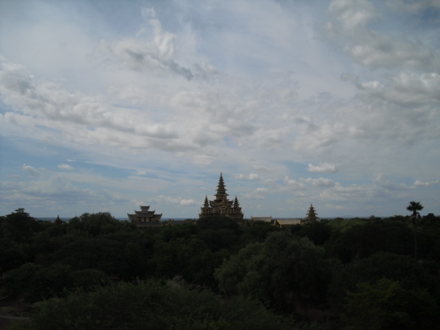 f:id:nama-zoo:20130604171423j:image