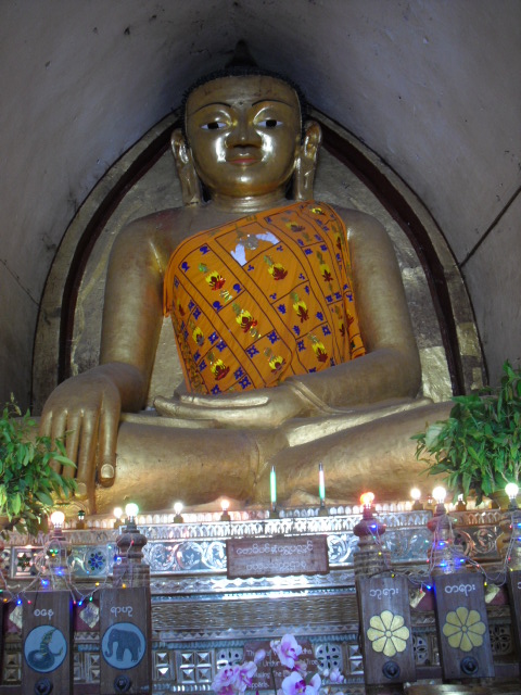 f:id:nama-zoo:20130604172405j:image