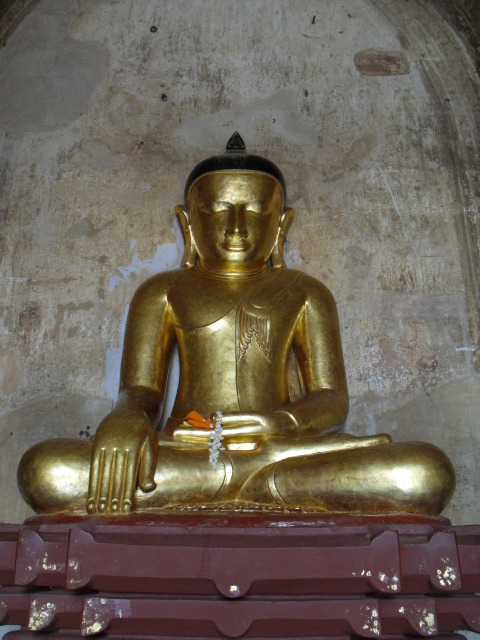 f:id:nama-zoo:20130604184958j:image