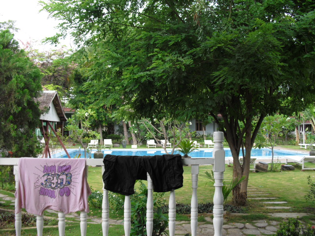f:id:nama-zoo:20130605113548j:image