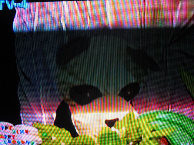 f:id:nama-zoo:20130605191946j:image