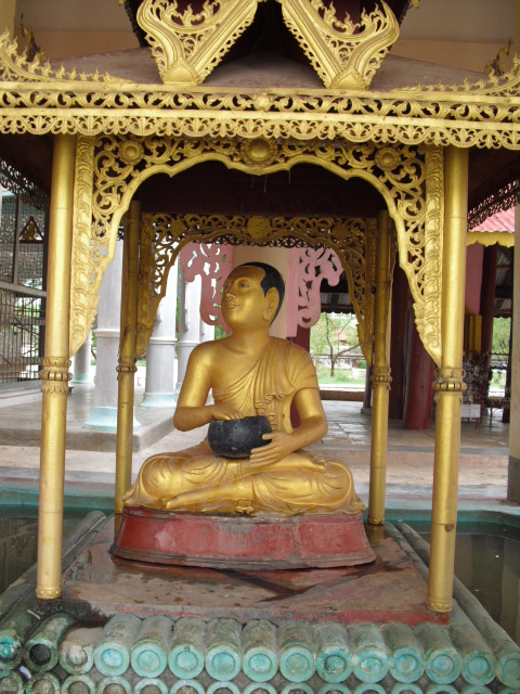 f:id:nama-zoo:20130606123848j:image