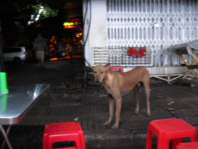 f:id:nama-zoo:20130608000326j:image