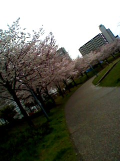 f:id:nama-zoo:20140330123128j:image
