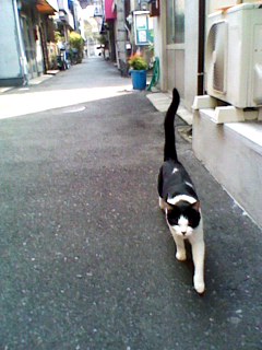 f:id:nama-zoo:20140410135648j:image