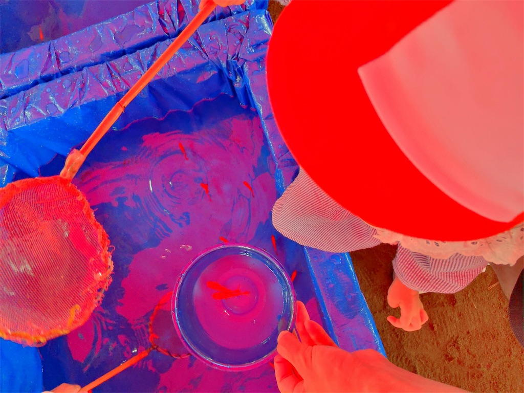 f:id:namahideki:20190701210019j:image