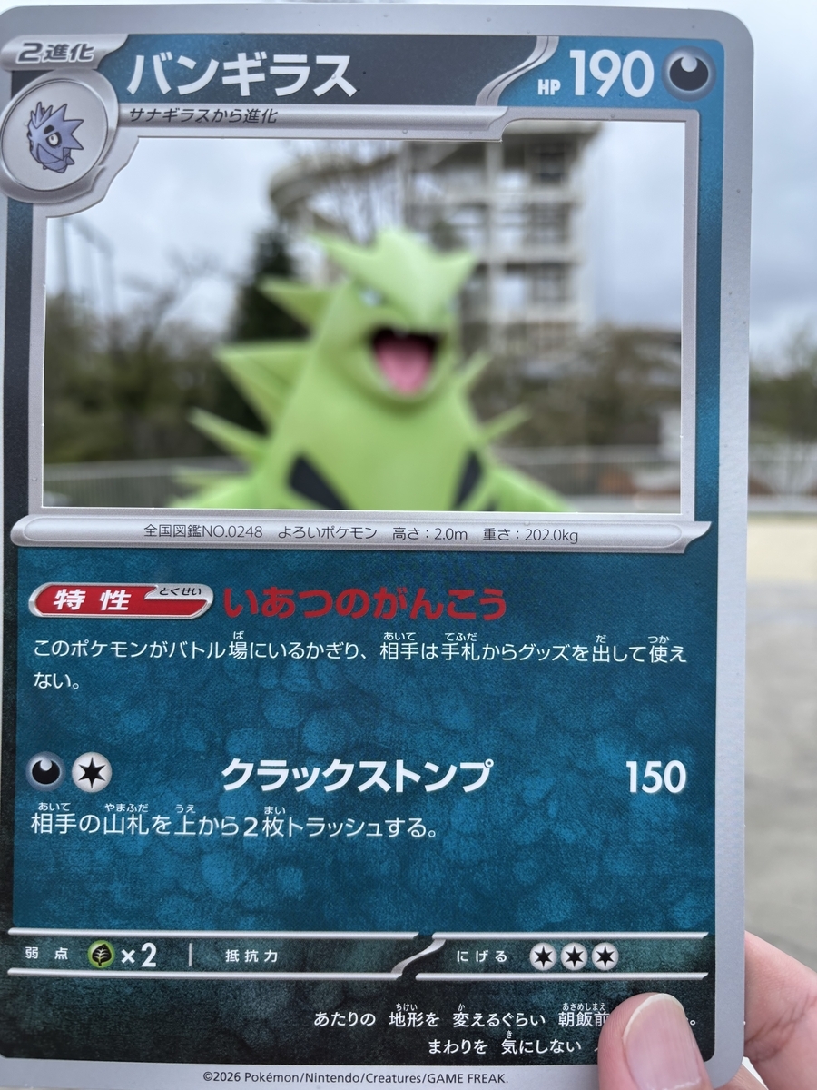 はるのあらしのポケパーク2回目レポート - 怠け者の研究日誌