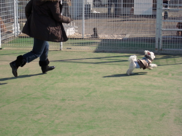 f:id:namakuro500m:20120109123842j:image