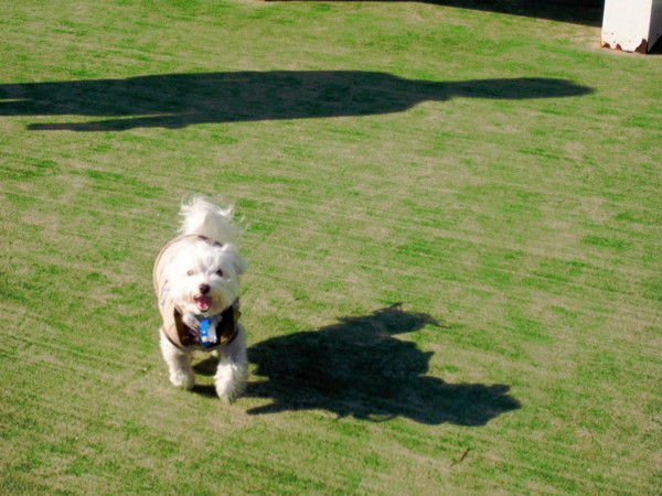 f:id:namakuro500m:20120109123853j:image