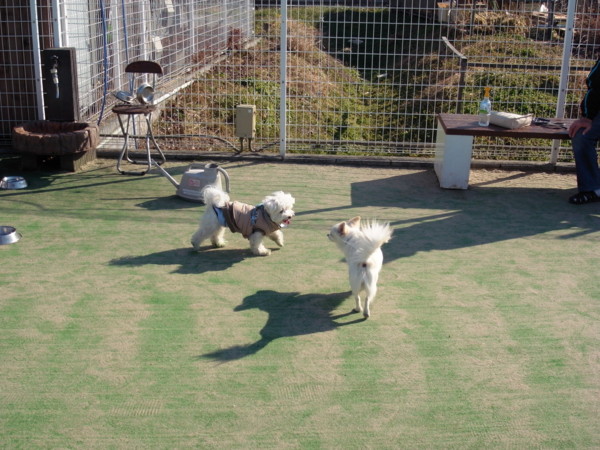f:id:namakuro500m:20120109130035j:image