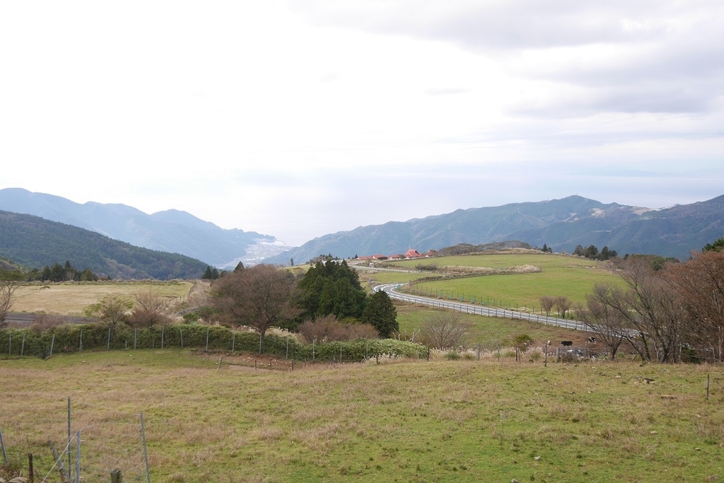 f:id:namamono04:20181127082448j:plain f:id:namamono04:20181127082448j:plain