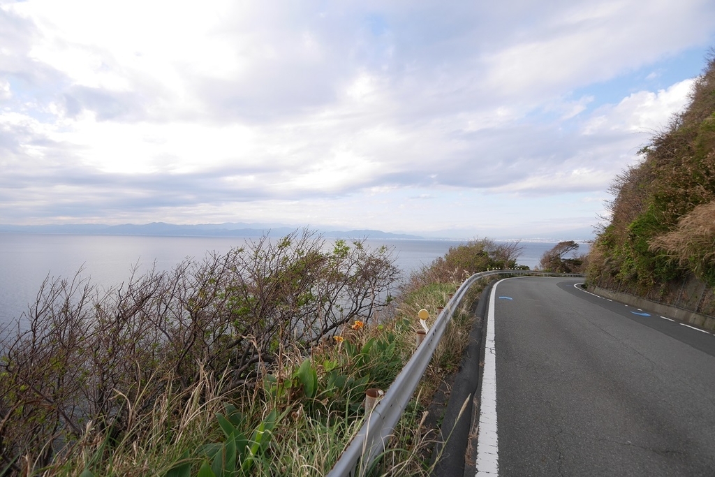 f:id:namamono04:20181127082528j:plain f:id:namamono04:20181127082528j:plain