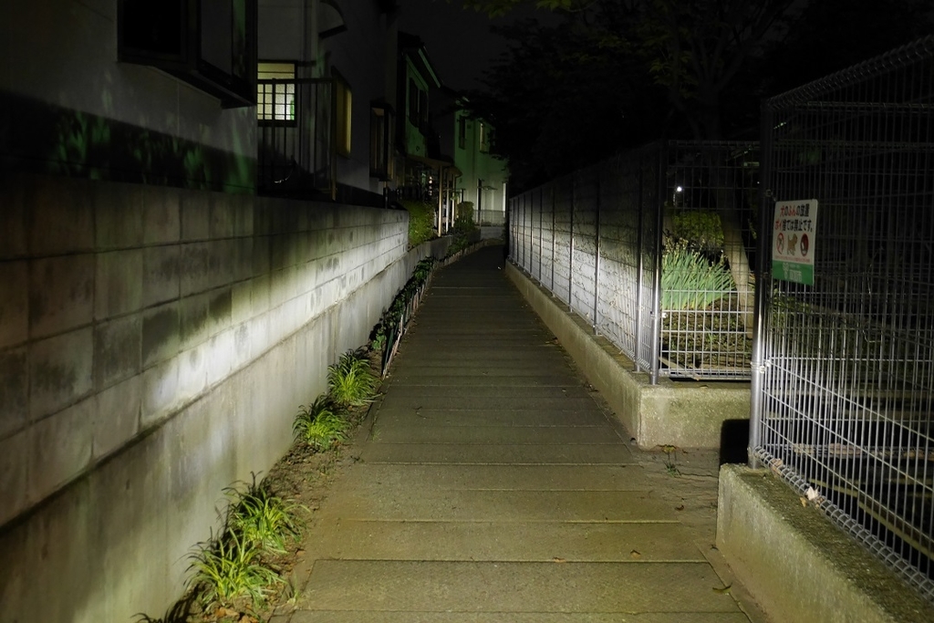 f:id:namamono04:20190219000111j:plain f:id:namamono04:20190219000111j:plain