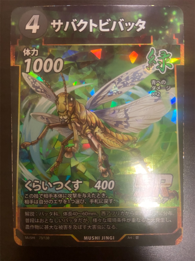 f:id:namarama:20230103202410j:image f:id:namarama:20230103202410j:image