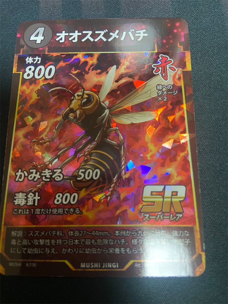f:id:namarama:20230104111849j:image f:id:namarama:20230104111849j:image