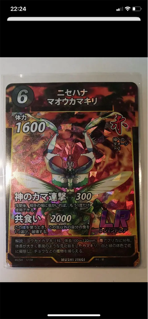 f:id:namarama:20230104114110p:image f:id:namarama:20230104114110p:image