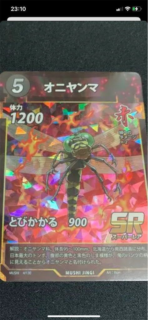 f:id:namarama:20230104132956p:image f:id:namarama:20230104132956p:image