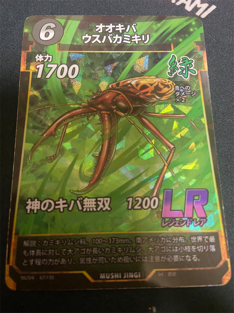 f:id:namarama:20230104133412j:image f:id:namarama:20230104133412j:image