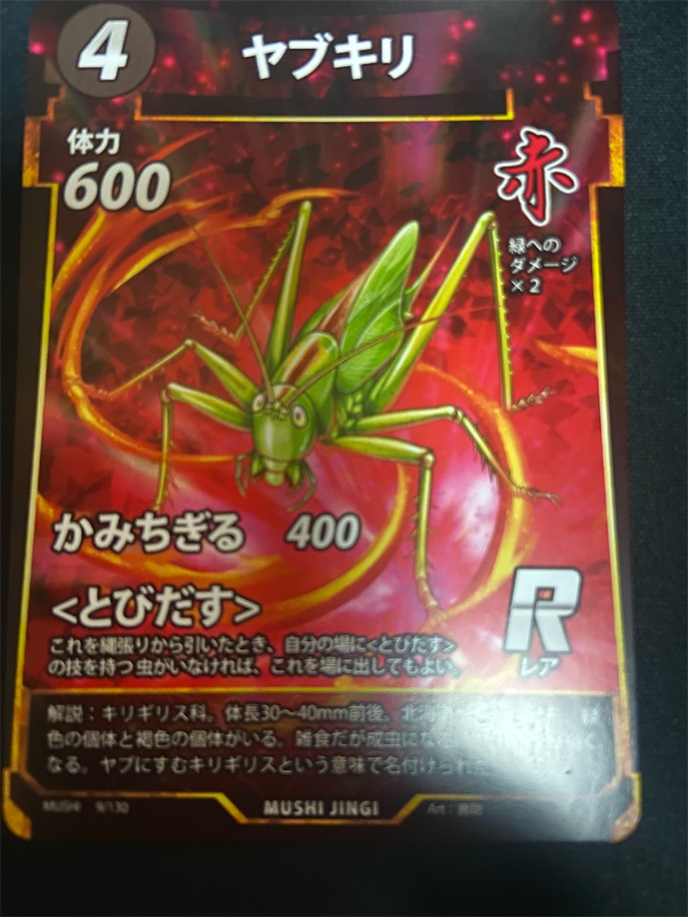 f:id:namarama:20230104135527j:image f:id:namarama:20230104135527j:image