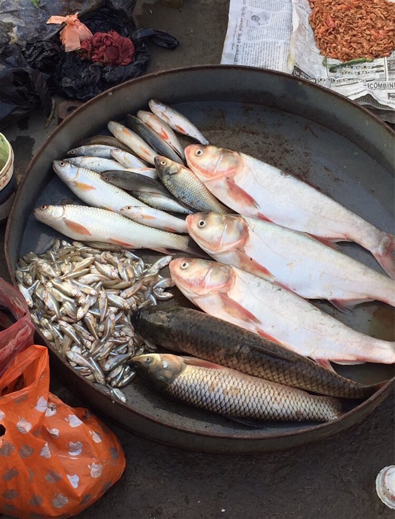 f:id:namaste_japangal:20191117064108j:image